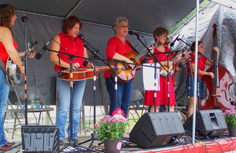 THE BISCUITS BAND PLAYING